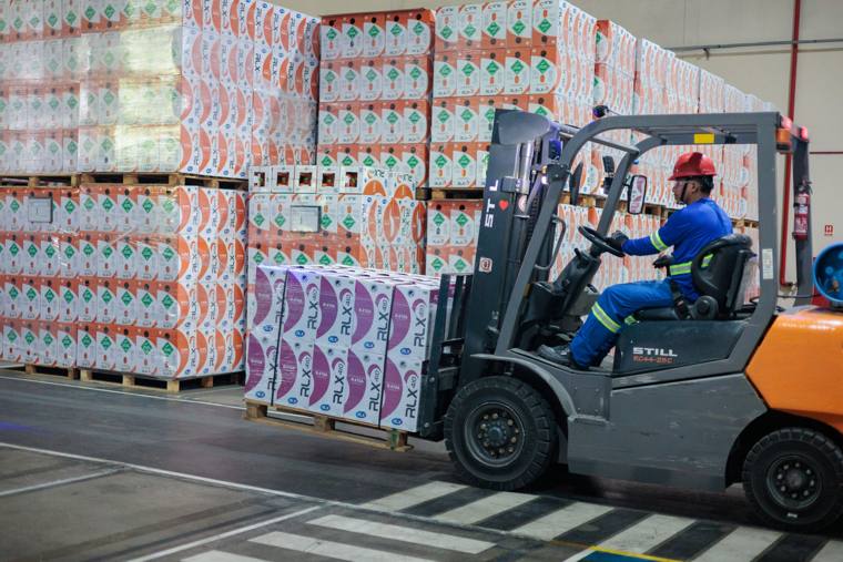 Estoque paletizado de latas RLX sendo movimentado por empilhadeira